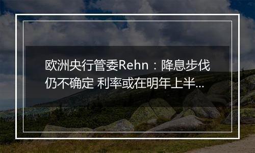 欧洲央行管委Rehn:降息步伐仍不确定 利率或在明年上半年达到中性水平