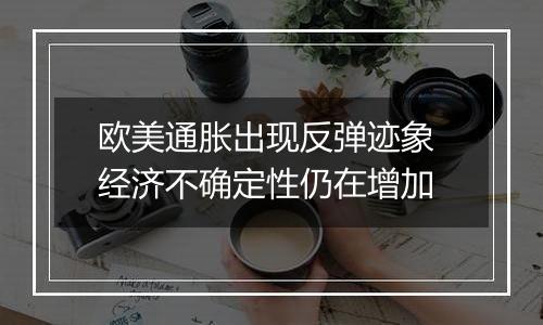 欧美通胀出现反弹迹象 经济不确定性仍在增加