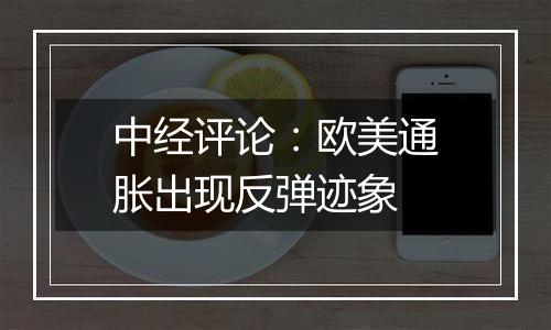 中经评论:欧美通胀出现反弹迹象