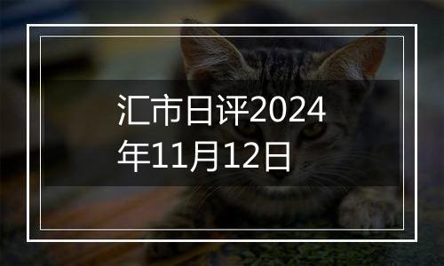 汇市日评2024年11月12日