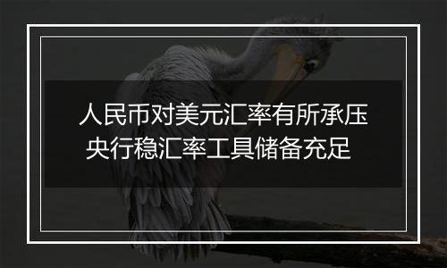 人民币对美元汇率有所承压 央行稳汇率工具储备充足