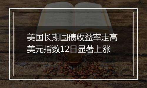 美国长期国债收益率走高 美元指数12日显著上涨