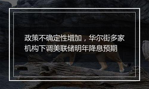 政策不确定性增加,华尔街多家机构下调美联储明年降息预期