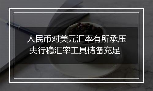 人民币对美元汇率有所承压 央行稳汇率工具储备充足