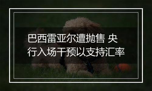 巴西雷亚尔遭抛售 央行入场干预以支持汇率
