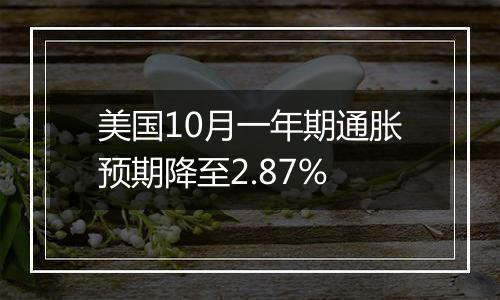美国10月一年期通胀预期降至2.87%