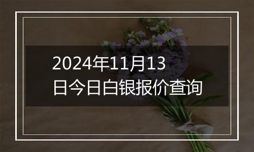 2024年11月13日今日白银报价查询