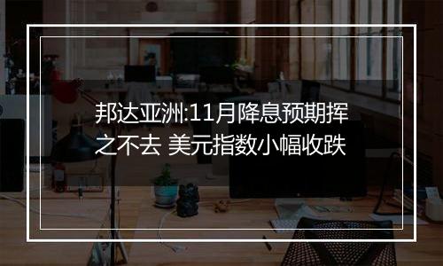 邦达亚洲:11月降息预期挥之不去 美元指数小幅收跌
