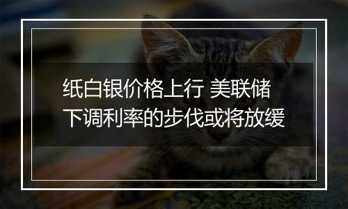 纸白银价格上行 美联储下调利率的步伐或将放缓