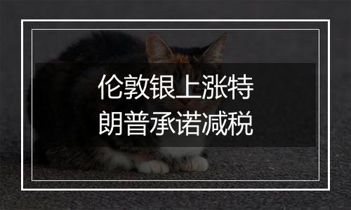 伦敦银上涨特朗普承诺减税
