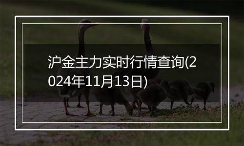 沪金主力实时行情查询(2024年11月13日)