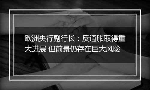 欧洲央行副行长：反通胀取得重大进展 但前景仍存在巨大风险