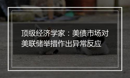 顶级经济学家：美债市场对美联储举措作出异常反应