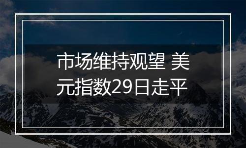 市场维持观望 美元指数29日走平