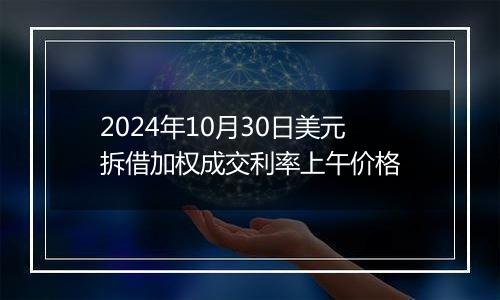 2024年10月30日美元拆借加权成交利率上午价格