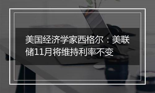 美国经济学家西格尔:美联储11月将维持利率不变