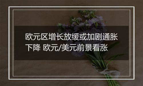 欧元区增长放缓或加剧通胀下降 欧元/美元前景看涨