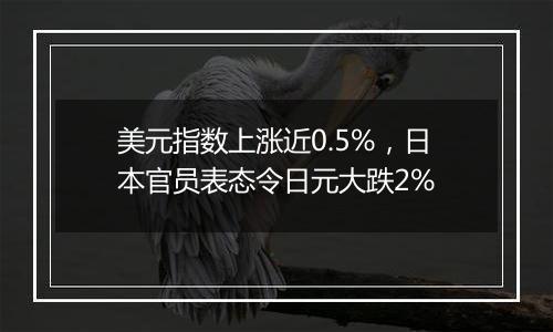 美元指数上涨近0.5%,日本官员表态令日元大跌2%