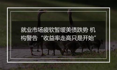 就业市场疲软暂缓美债跌势 机构警告“收益率走高只是开始”