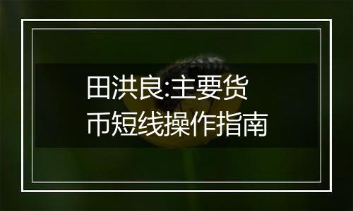 田洪良:主要货币短线操作指南