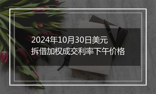 2024年10月30日美元拆借加权成交利率下午价格