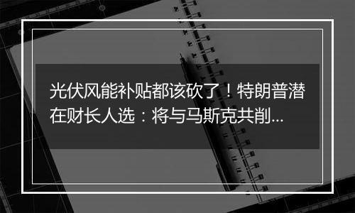 光伏风能补贴都该砍了!特朗普潜在财长人选:将与马斯克共削联邦支出