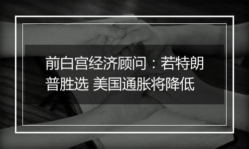 前白宫经济顾问:若特朗普胜选 美国通胀将降低