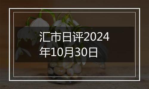 汇市日评2024年10月30日