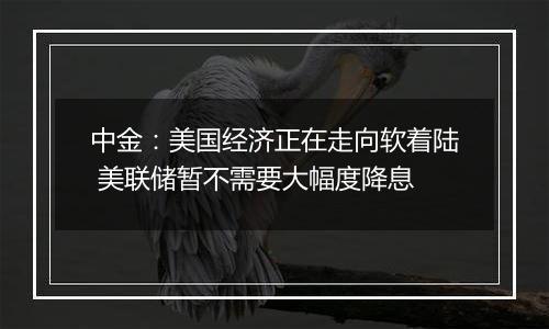 中金:美国经济正在走向软着陆 美联储暂不需要大幅度降息