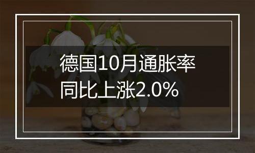 德国10月通胀率同比上涨2.0%