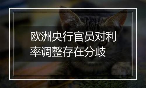 欧洲央行官员对利率调整存在分歧