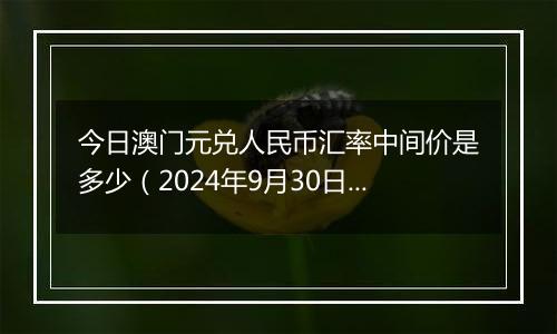 今日澳门元兑人民币汇率中间价是多少(2024年9月30日)
