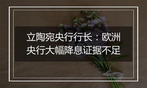 立陶宛央行行长:欧洲央行大幅降息证据不足