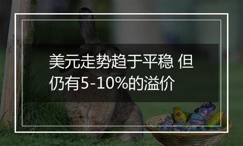 美元走势趋于平稳 但仍有5-10%的溢价