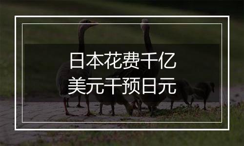 日本花费千亿美元干预日元