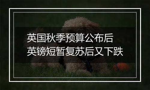 英国秋季预算公布后 英镑短暂复苏后又下跌