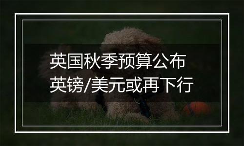 英国秋季预算公布 英镑/美元或再下行