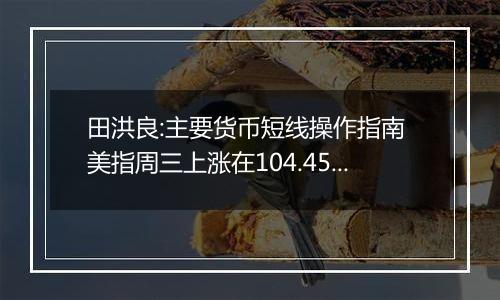 田洪良:主要货币短线操作指南 美指周三上涨在104.45之下遇阻