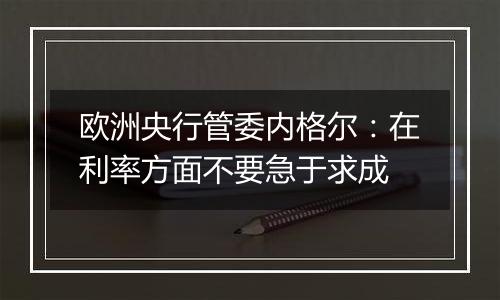 欧洲央行管委内格尔:在利率方面不要急于求成