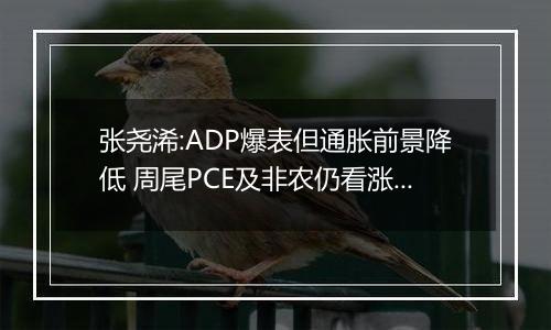 张尧浠:ADP爆表但通胀前景降低 周尾PCE及非农仍看涨为主