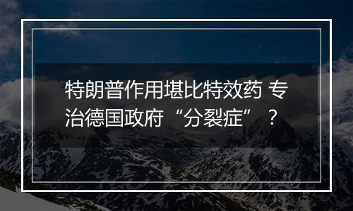 特朗普作用堪比特效药 专治德国政府“分裂症”?