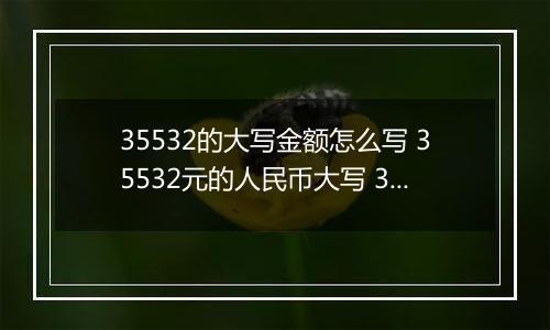 35532的大写金额怎么写 35532元的人民币大写 35532元的数字大写
