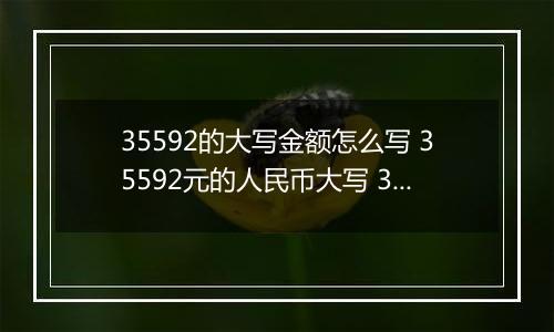 35592的大写金额怎么写 35592元的人民币大写 35592元的数字大写