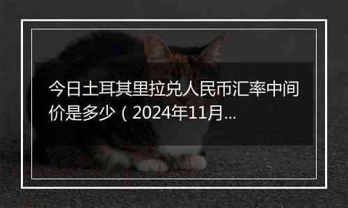 今日土耳其里拉兑人民币汇率中间价是多少(2024年11月1日)