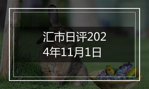 汇市日评2024年11月1日