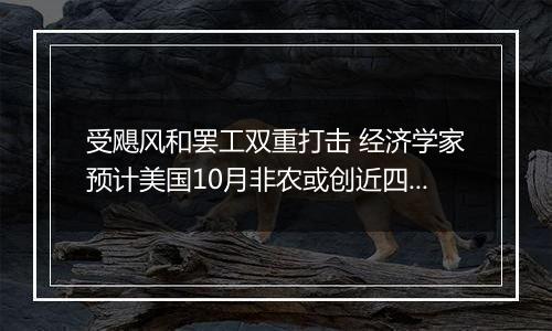 受飓风和罢工双重打击 经济学家预计美国10月非农或创近四年来最缓慢增长