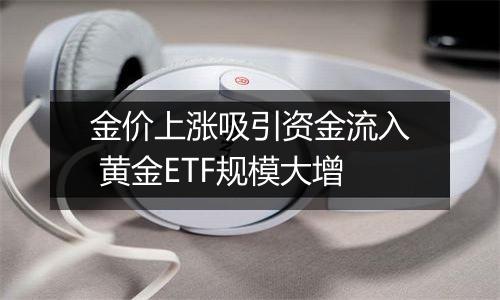 金价上涨吸引资金流入 黄金ETF规模大增