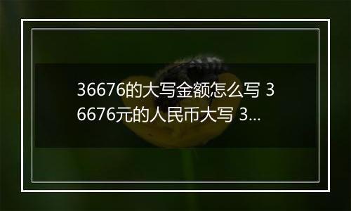 36676的大写金额怎么写 36676元的人民币大写 36676元的数字大写