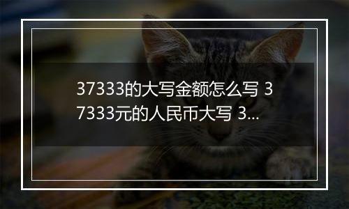 37333的大写金额怎么写 37333元的人民币大写 37333元的数字大写