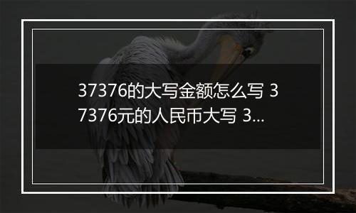 37376的大写金额怎么写 37376元的人民币大写 37376元的数字大写